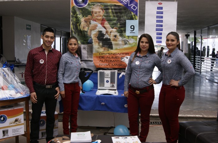 Dispensador de alimentos automático