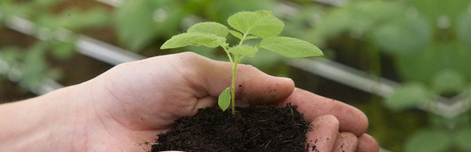 7° Certamen Nacional de «Universitarios por el Desarrollo Agrario 2016»