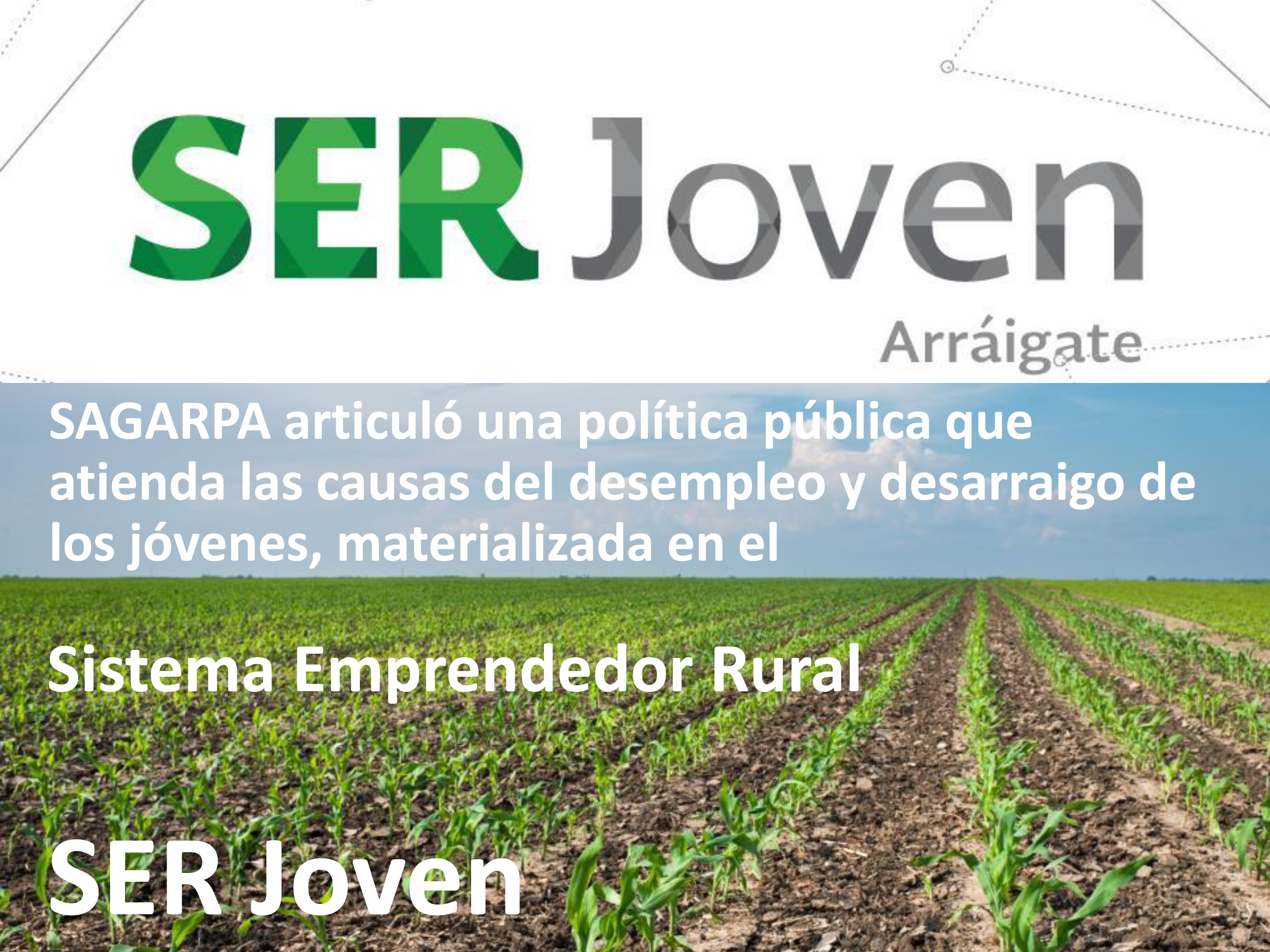 Sistema Emprendedor Rural SER JOVEN